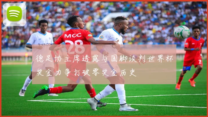德足协主席透露与国脚谈判世界杯奖金力争打破零奖金历史